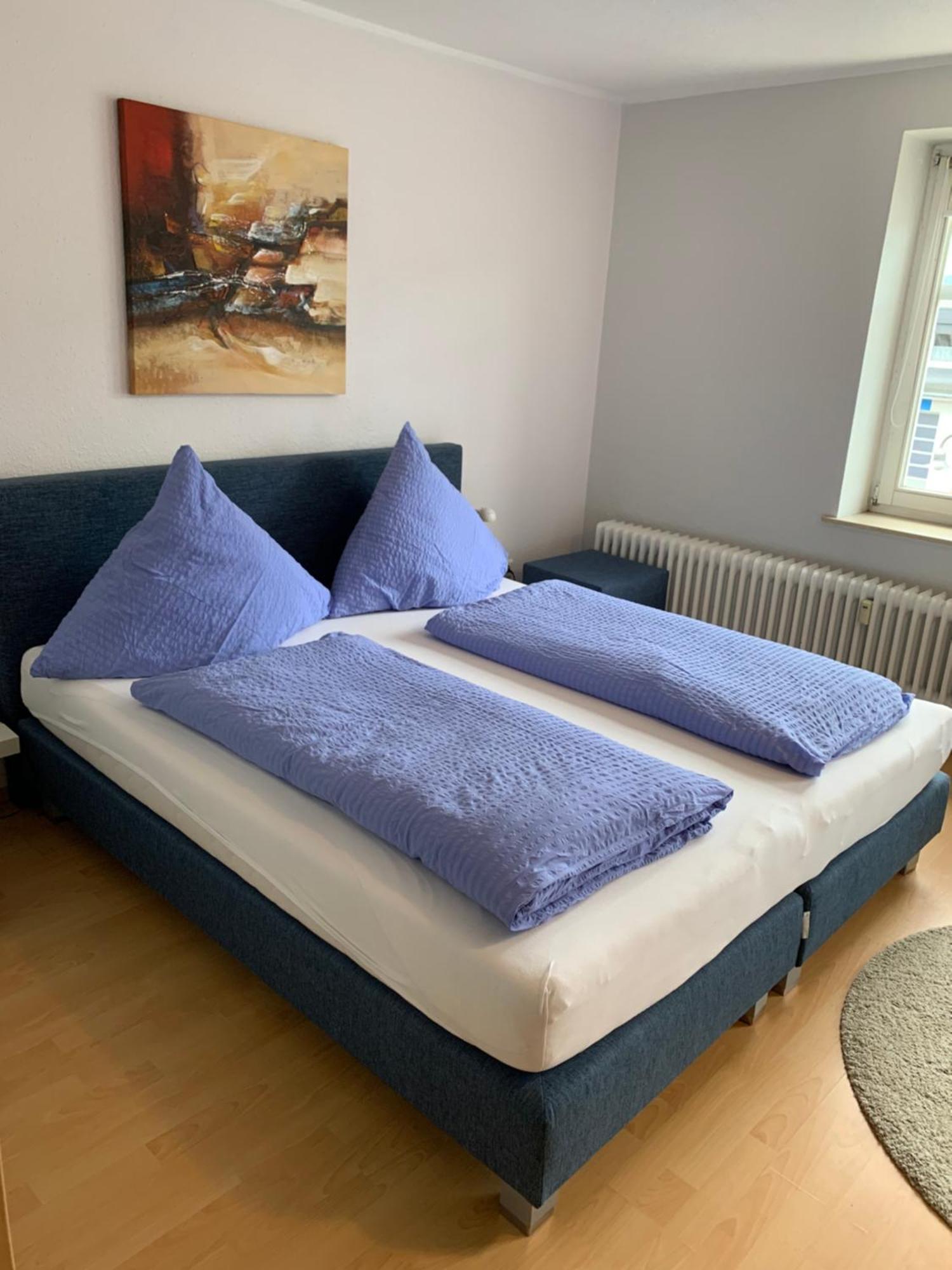 Landhaus Wiesemann Parkappartements & Dependance - Naehe Ettelsberg-Talstation ヴィリンゲン エクステリア 写真