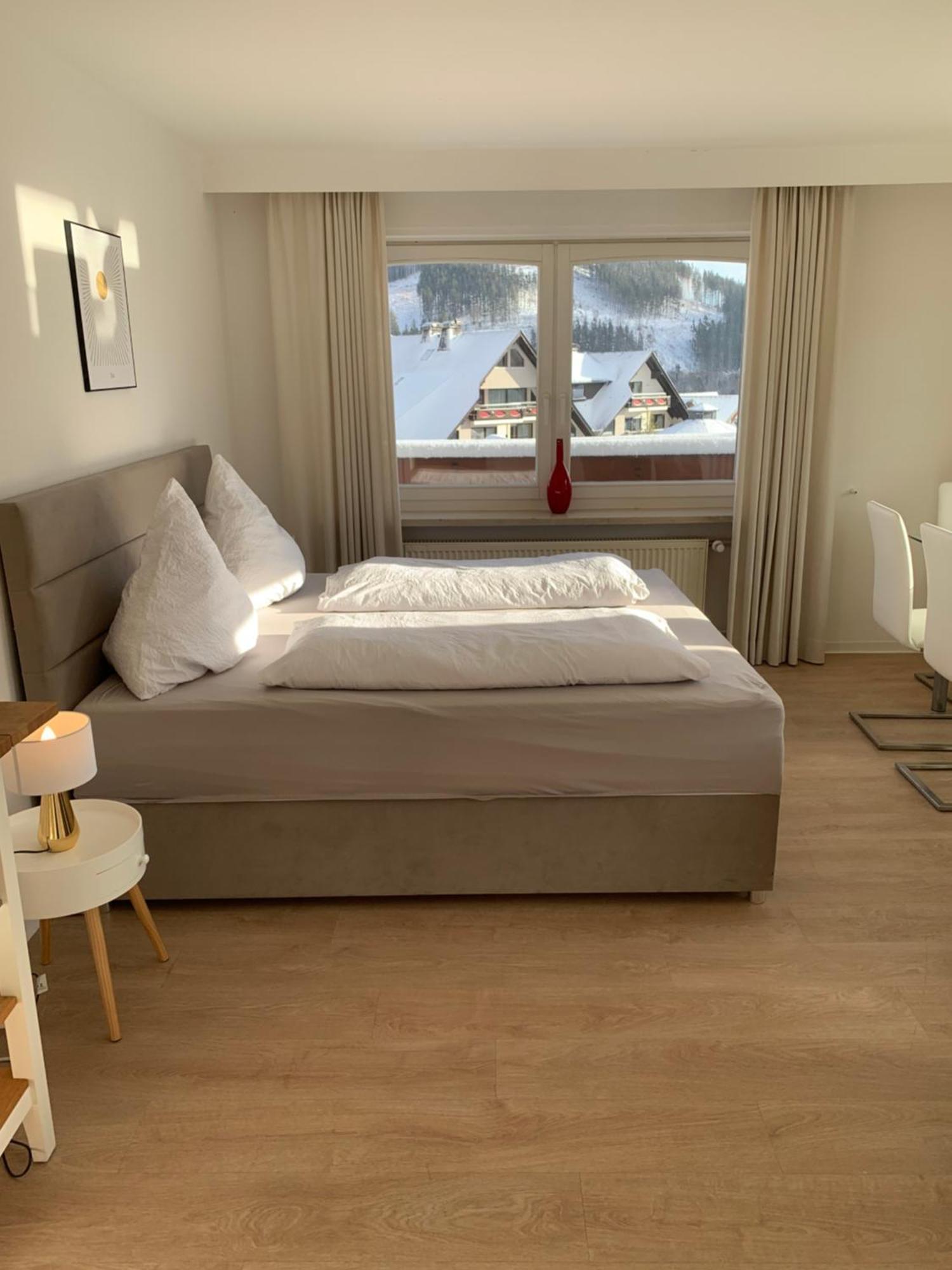 Landhaus Wiesemann Parkappartements & Dependance - Naehe Ettelsberg-Talstation ヴィリンゲン エクステリア 写真