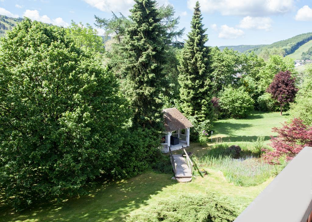 Landhaus Wiesemann Parkappartements & Dependance - Naehe Ettelsberg-Talstation ヴィリンゲン エクステリア 写真